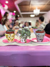 Painting Pots Craft Party April 20th at 2pm!