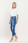 The Skeeter High Rise Distressed Boyfriend Jean