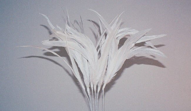 Cocktail Feather - White
